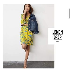 CAbi 5794 Lemon Drop Dress Yellow Floral Split Neck Long Sleeve Belted Sz Medium